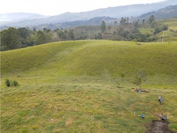 SE VENDE FINCA EN PASTO SECTOR SAN JUAN DE CAROLINA SALENTO