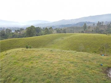 SE VENDE FINCA EN PASTO SECTOR SAN JUAN DE CAROLINA SALENTO