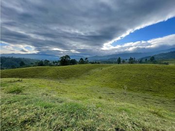SE VENDE FINCA EN PASTO SECTOR SAN JUAN DE CAROLINA SALENTO