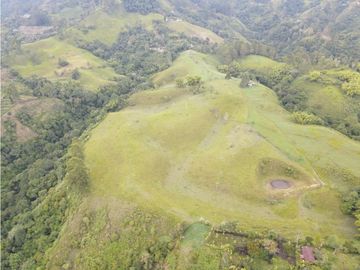 SE VENDE FINCA EN PASTO SECTOR SAN JUAN DE CAROLINA SALENTO