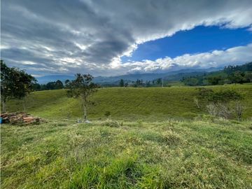 SE VENDE FINCA EN PASTO SECTOR SAN JUAN DE CAROLINA SALENTO