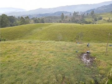 SE VENDE FINCA EN PASTO SECTOR SAN JUAN DE CAROLINA SALENTO