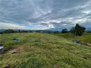 SE VENDE FINCA EN PASTO SECTOR SAN JUAN DE CAROLINA SALENTO