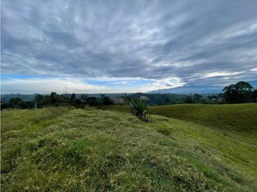 SE VENDE FINCA EN PASTO SECTOR SAN JUAN DE CAROLINA SALENTO