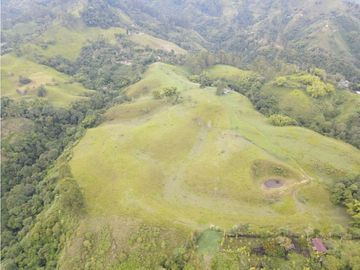 SE VENDE FINCA EN PASTO SECTOR SAN JUAN DE CAROLINA SALENTO