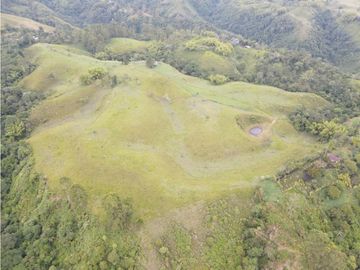 SE VENDE FINCA EN PASTO SECTOR SAN JUAN DE CAROLINA SALENTO