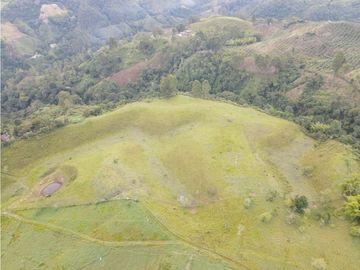 SE VENDE FINCA EN PASTO SECTOR SAN JUAN DE CAROLINA SALENTO