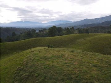 SE VENDE FINCA EN PASTO SECTOR SAN JUAN DE CAROLINA SALENTO