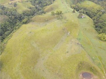 SE VENDE FINCA EN PASTO SECTOR SAN JUAN DE CAROLINA SALENTO