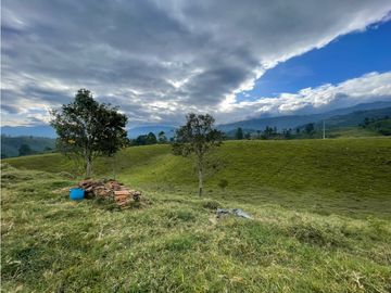 SE VENDE FINCA EN PASTO SECTOR SAN JUAN DE CAROLINA SALENTO