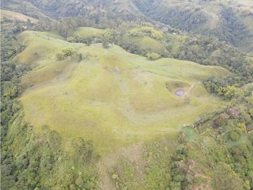SE VENDE FINCA EN PASTO SECTOR SAN JUAN DE CAROLINA SALENTO