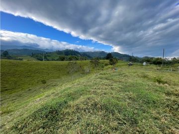 SE VENDE FINCA EN PASTO SECTOR SAN JUAN DE CAROLINA SALENTO
