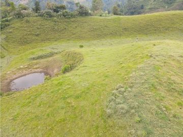 SE VENDE FINCA EN PASTO SECTOR SAN JUAN DE CAROLINA SALENTO