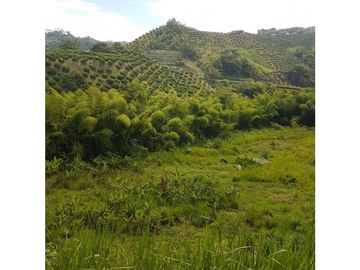 SE VENDE ESPECTACULAR FINCA EN CONJUNTO CERRAD SECTOR LA MANUELA