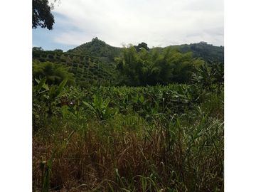 SE VENDE ESPECTACULAR FINCA EN CONJUNTO CERRAD SECTOR LA MANUELA
