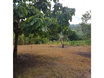 SE VENDE ESPECTACULAR FINCA EN CONJUNTO CERRAD SECTOR LA MANUELA