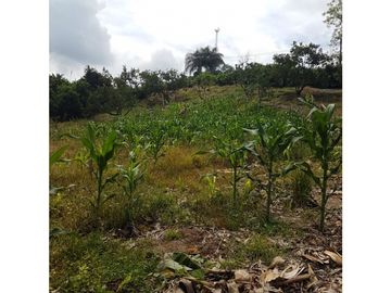 SE VENDE ESPECTACULAR FINCA EN CONJUNTO CERRAD SECTOR LA MANUELA
