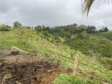 VENTA FINCA FILANDIA QUINDIO