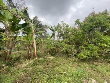 VENTA FINCA FILANDIA QUINDIO