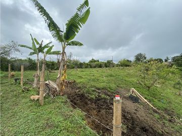 VENTA FINCA FILANDIA QUINDIO