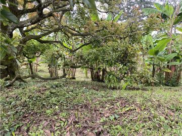 VENTA FINCA FILANDIA QUINDIO