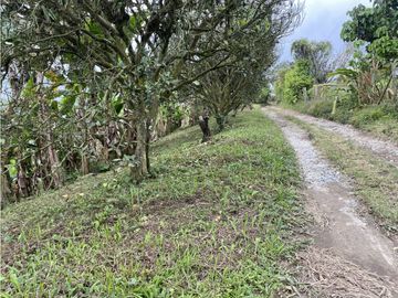 VENTA FINCA FILANDIA QUINDIO