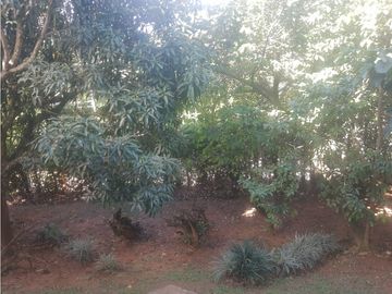 Venta Finca San Jerónimo Parcelación Cerrada
