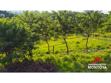 Lote con cabaña en Arabia, Pereira