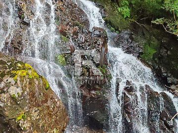 PARCELAS CON  VISTA AL LAGO LLANQUIHUE EN BOSQUE MIRADOR