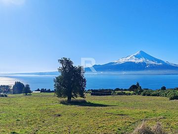 PARCELAS CON  VISTA AL LAGO LLANQUIHUE EN BOSQUE MIRADOR