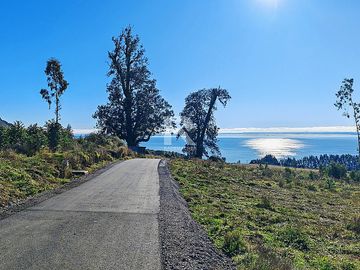 PARCELAS CON  VISTA AL LAGO LLANQUIHUE EN BOSQUE MIRADOR