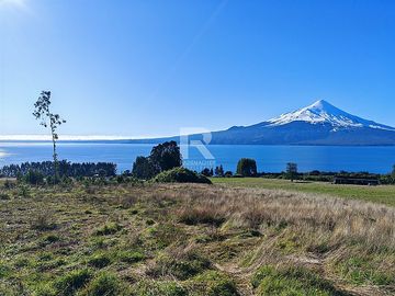 PARCELAS CON  VISTA AL LAGO LLANQUIHUE EN BOSQUE MIRADOR