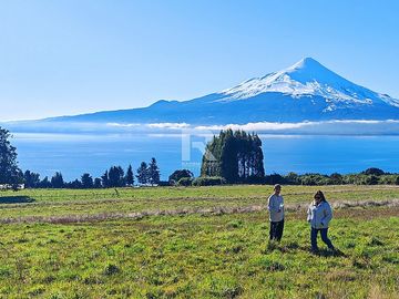PARCELAS CON  VISTA AL LAGO LLANQUIHUE EN BOSQUE MIRADOR