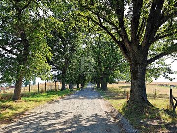 PARCELA EN QUEBRADA HONDA CERCANA A FRUTILLAR