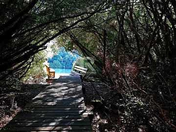 PARCELA EN CAMINO LAS LOMAS A 5KM DE PTO VARAS