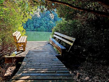 PARCELA EN CAMINO LAS LOMAS A 5KM DE PTO VARAS