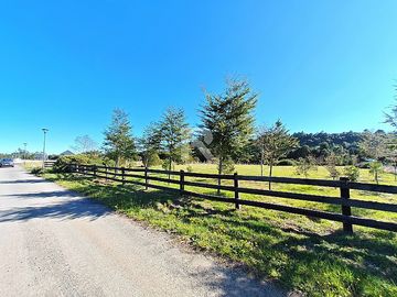 PARCELA EN CAMINO LAS LOMAS A 5KM DE PTO VARAS