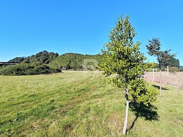 PARCELA EN CAMINO LAS LOMAS A 5KM DE PTO VARAS
