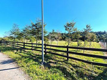 PARCELA EN CAMINO LAS LOMAS A 5KM DE PTO VARAS