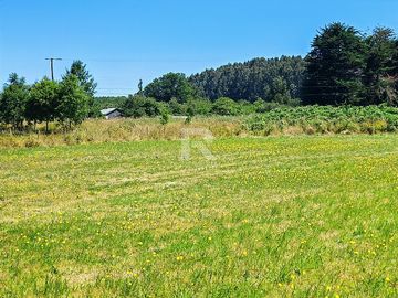 PARCELA EN CONDOMINIO EN TOTORAL A 3KM DE LLANQUIHUE.