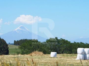 PARCELAS CON VISTA A VOLCANES EN SECTOR TOTORAL.