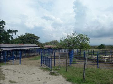 Venta Finca en Saldaña, 272 ha, planas!