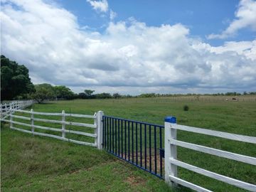 Venta Finca en Saldaña, 272 ha, planas!