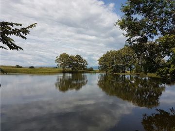 Venta Finca en Saldaña, 272 ha, planas!