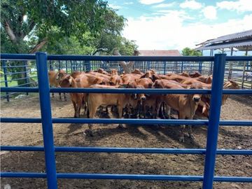Venta Finca en Saldaña, 272 ha, planas!