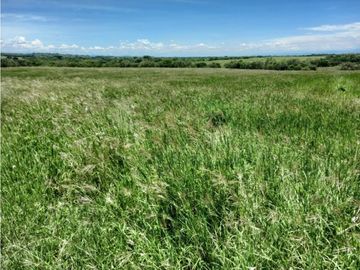 Venta Finca en Saldaña, 272 ha, planas!