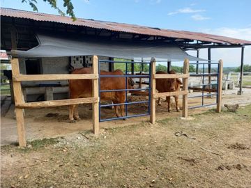 Venta Finca en Saldaña, 272 ha, planas!