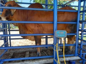 Venta Finca en Saldaña, 272 ha, planas!