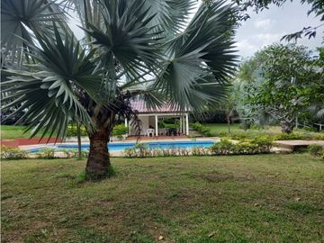 Venta Finca en Saldaña, 272 ha, planas!