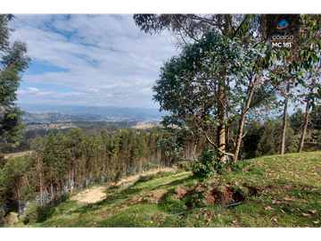 TERRENO EN VENTA EN CHIQUINTAD